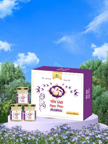 Yến Sào Ngọc Phúc MaMa 35% Tổ Yến